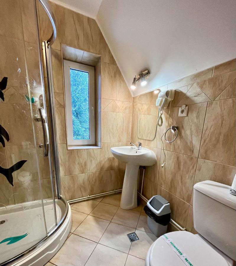 Pensiunea Mirage Tomesti  Екстер'єр фото